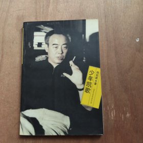 少年凯歌
