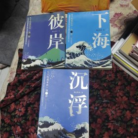 生于喧嚣年代：沉浮、下海、彼岸三本合售