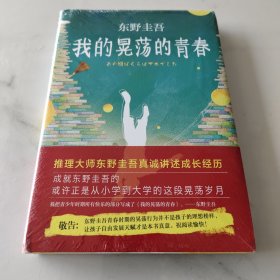 我的晃荡的青春