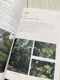 康乐芳草：中山大学校园植物图谱（第2版）