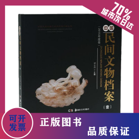 (2017)中國民間文物檔案 9787535683861
