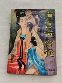 唐宫夜合花（续集）