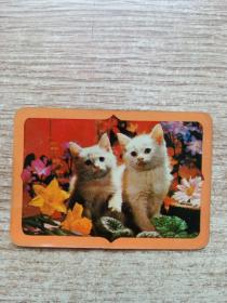 年历卡片1987年猫