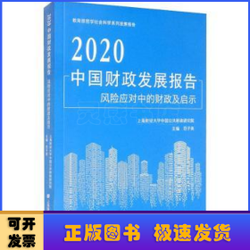 2020中国财政发展报告风险应对中的财政及启示