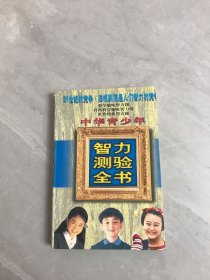 中华青少年智力测验全书 下