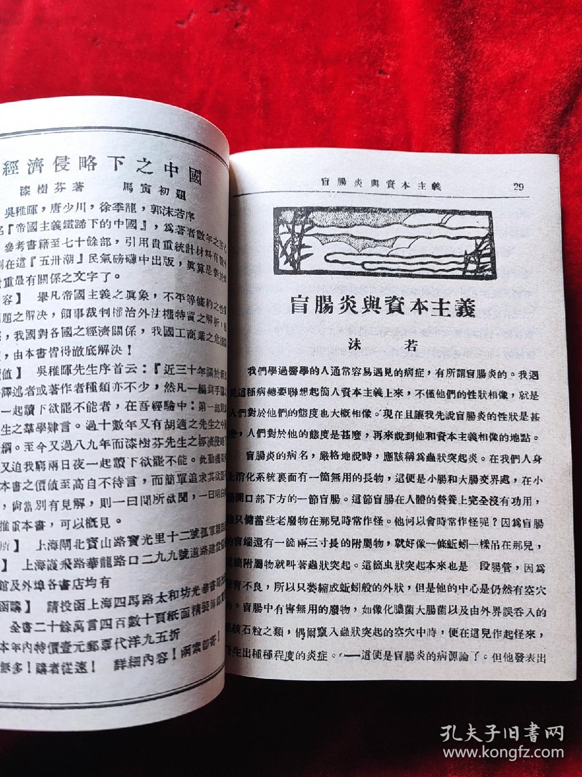 洪水（全二册）（上海书店影印民国时期的期刊）（32开，精装本）