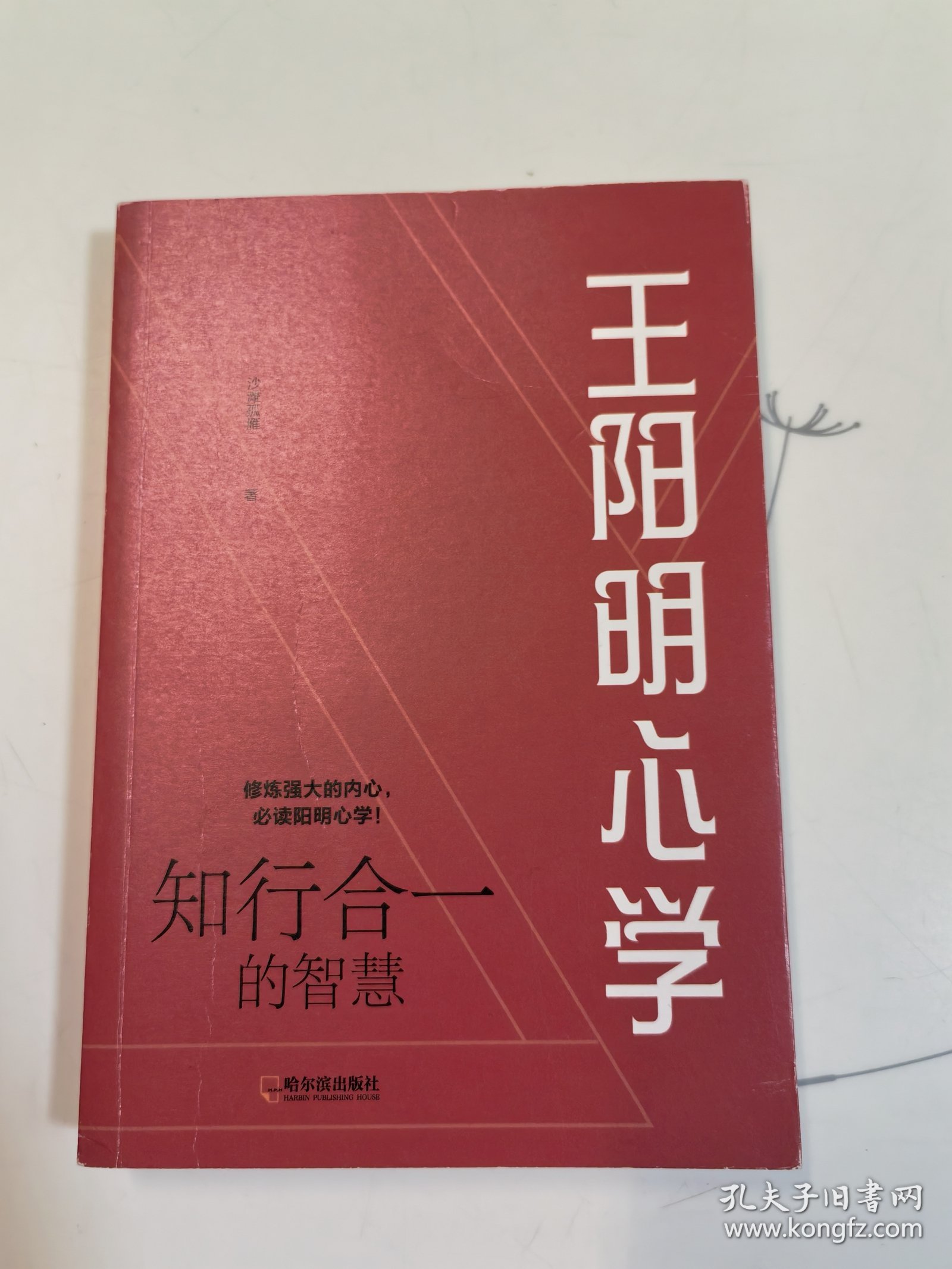 王阳明心学:知行合一的智慧