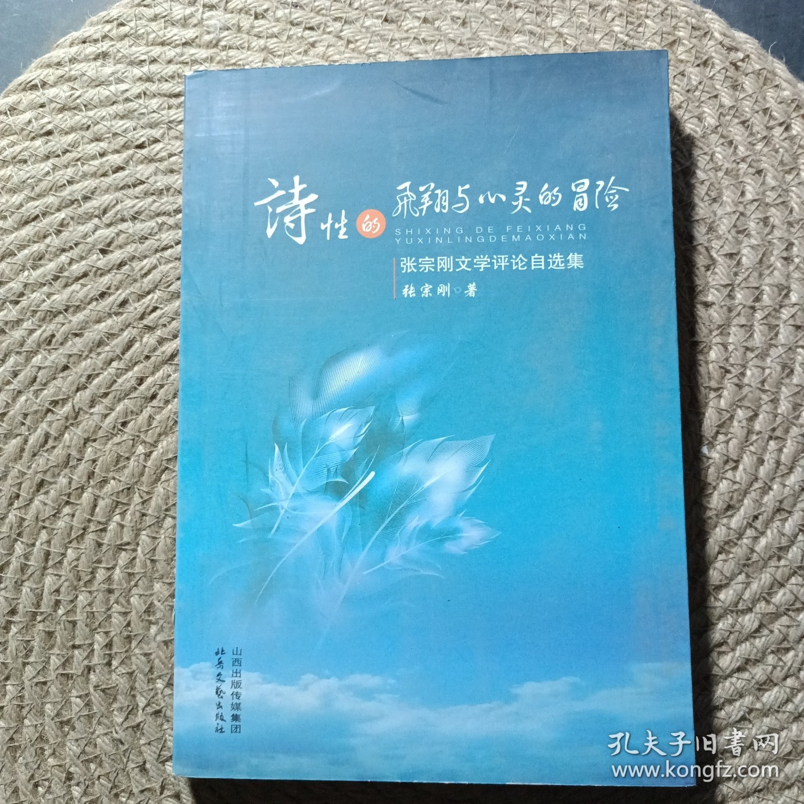 诗性的飞翔与心灵的冒险 : 张宗刚文学评论自选集