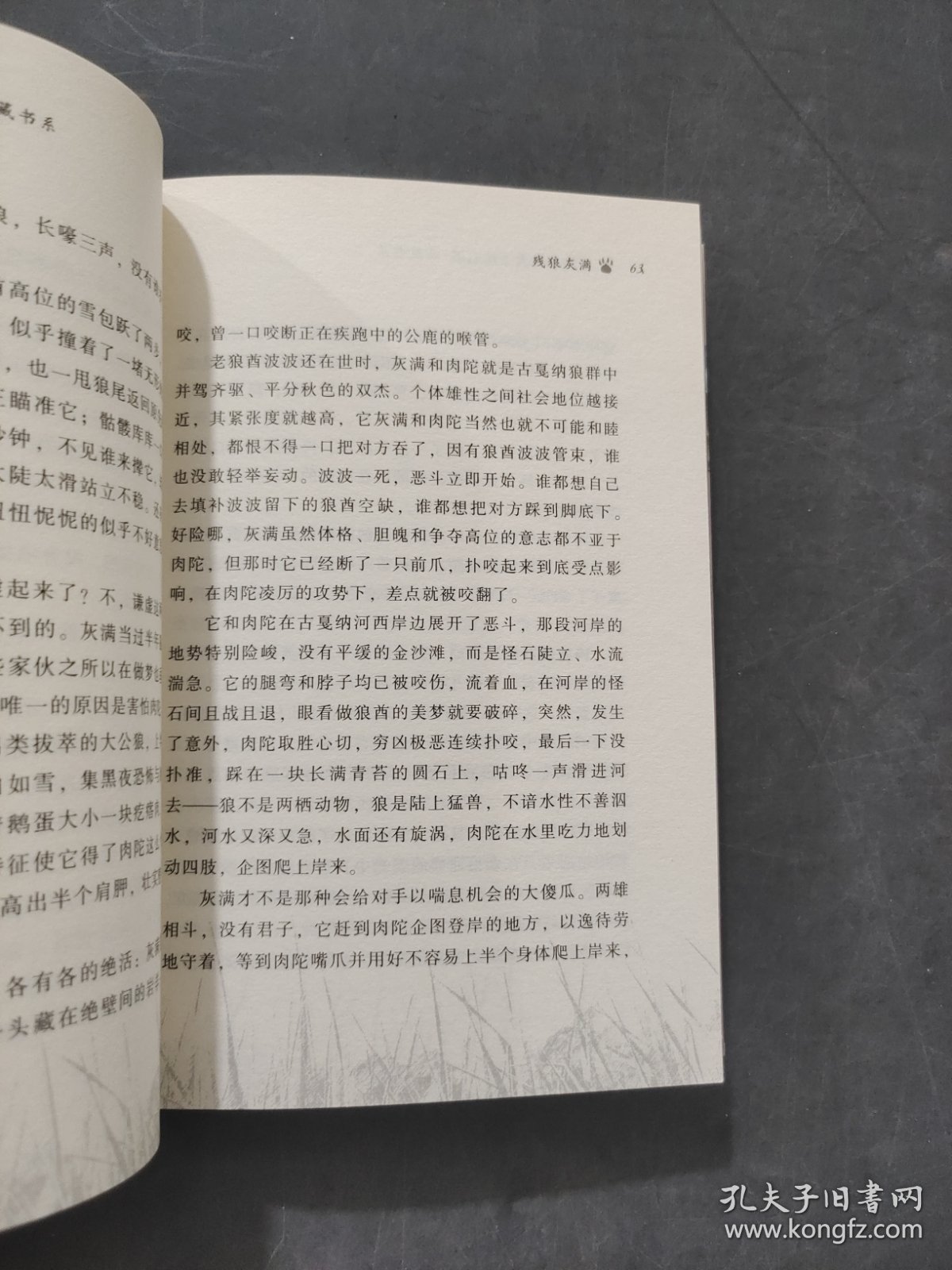 残狼灰满