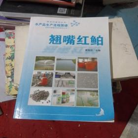 水产品生产流程图谱：翘嘴红鲌