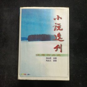 小說選刊 優(yōu)秀作品選