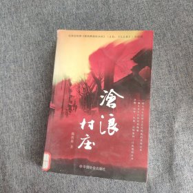 电视连续剧《激情燃烧的乡村》（又名《大公社》）小说版：沧浪村庄