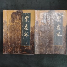黑森林（上下）：中国近代武侠小说名著