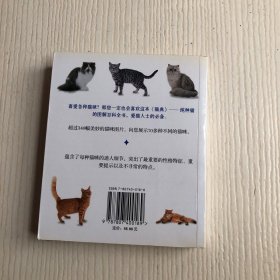 猫典