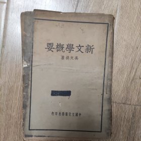 新文学概要