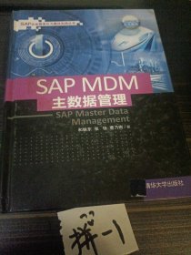 SAP MDM 主数据管理