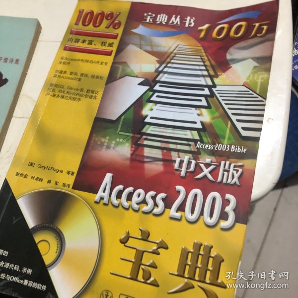 中文版Access 2003宝典