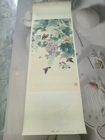 硕果丰收 七十年代