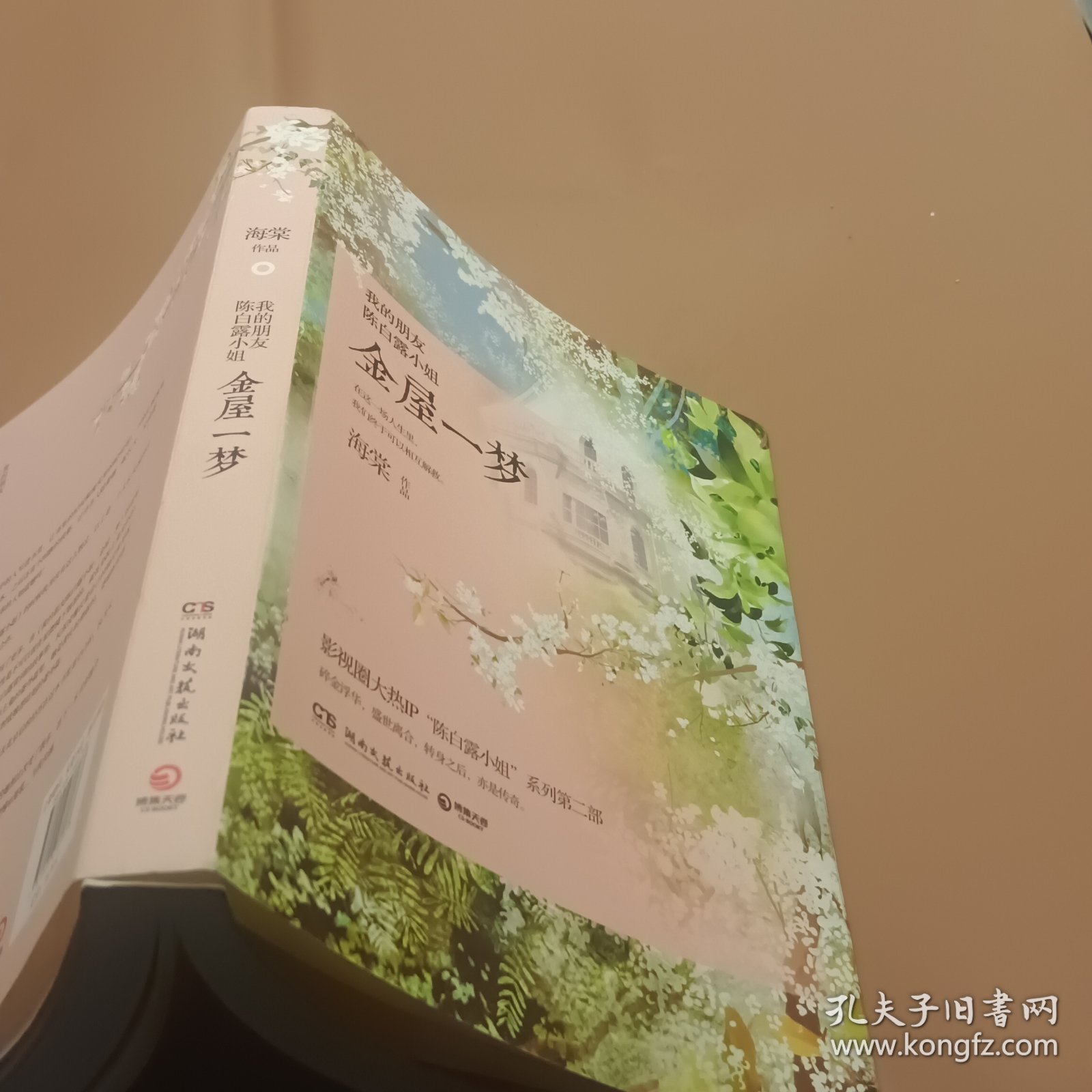 我的朋友陈白露小姐：金屋一梦