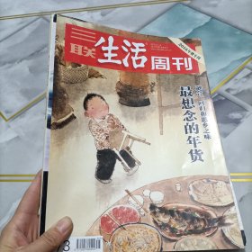 三联生活周刊2016年年货专刊