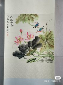 荷花小鸟