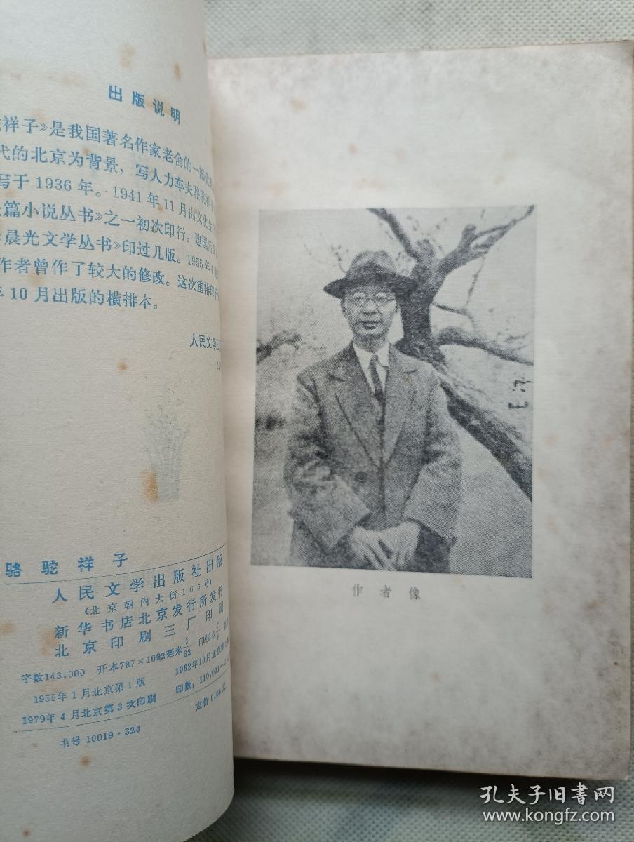 骆驼祥子