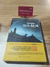 暗战赵城
