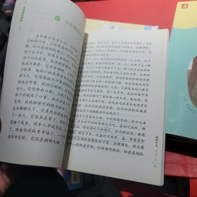 语文主题学习六年级上册 5 6 7 三册合售