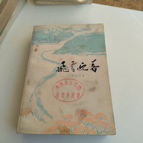 飞雪迎春