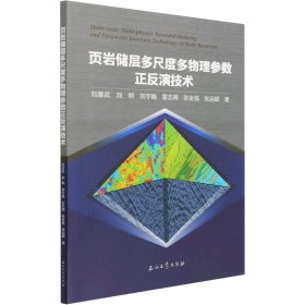 页岩储层多尺度多物理参数正反演技术