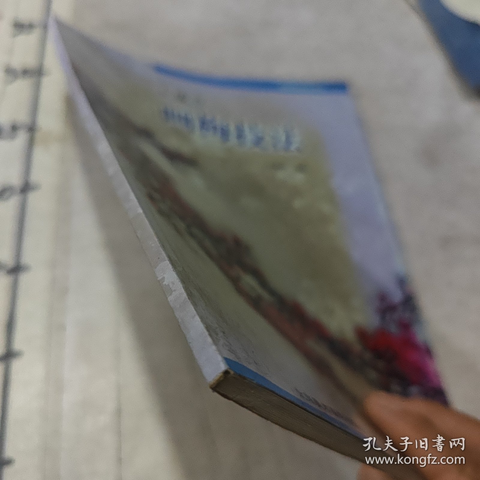 王成喜画梅技法