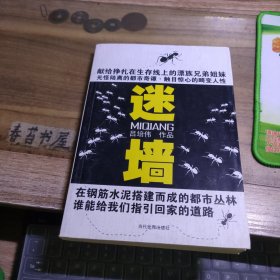 迷墻