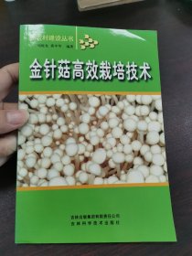 金针菇高效栽培技术