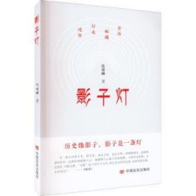 影子灯 沈俊峰 中国言实出版社