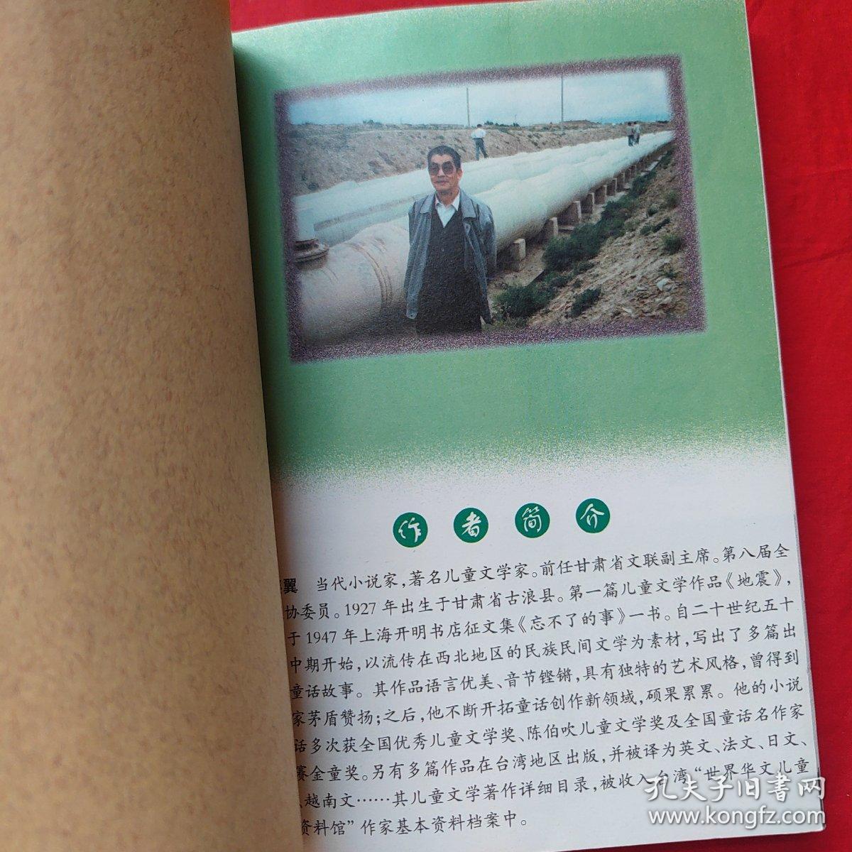 赵燕翼儿童文学集：天山少年传奇