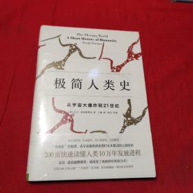 极简人类史：从宇宙大爆炸到21世纪