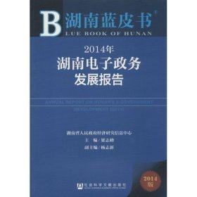 2014年湖南电子政务发展报告