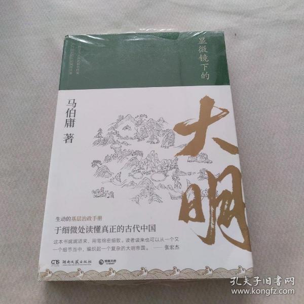 显微镜下的大明（马伯庸全新作品）