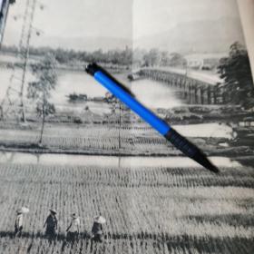 广东电力排灌网，1962年开平县长沙1张