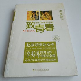 致我们终将逝去的青春：电影纪念版