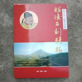 昭陵石刻精拓:契芯夫人墓志并盖(拓片，非印刷)