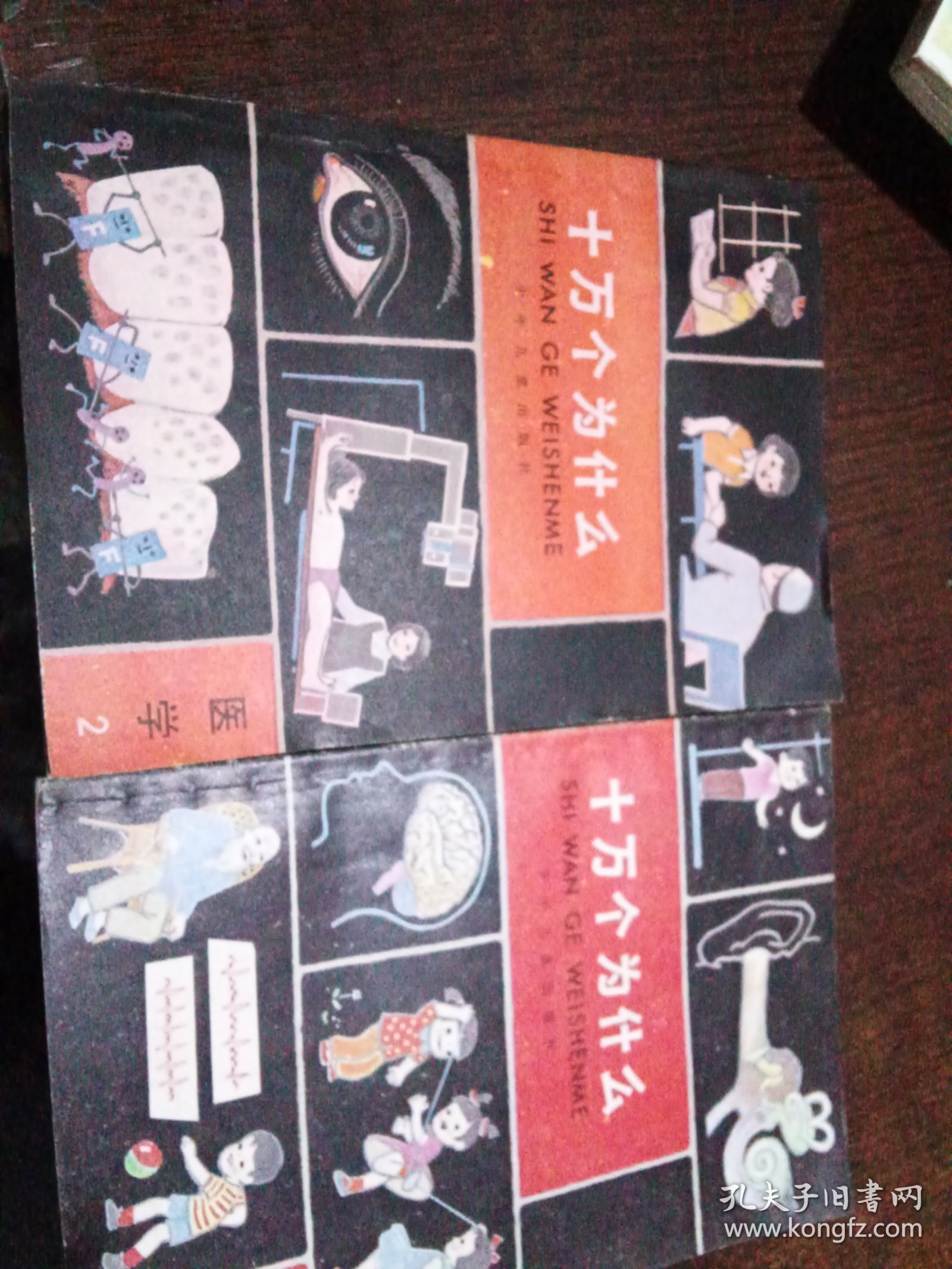 十万个为什么医学