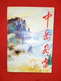 中岳風(fēng)雷(革命回憶錄)