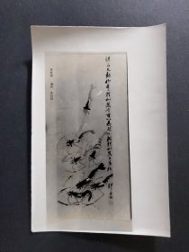 ●怀旧老照片《墨虾图》齐白石【八十年代15X11公分】！
