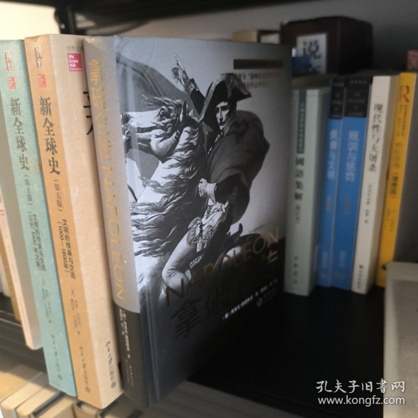 拿破仑传：一世珍藏名人名传书系