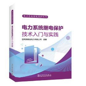 电力系统继电保护丛书 电力系统继电保护技术入门与实践