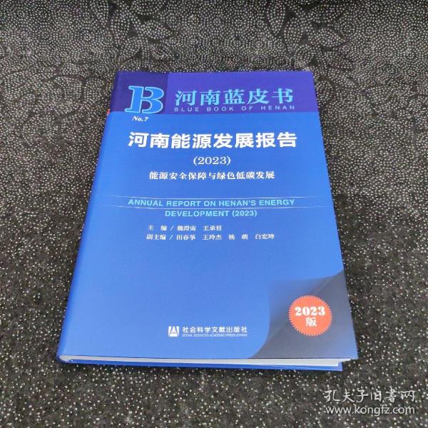 河南蓝皮书：河南能源发展报告(2023)能源安全保障与绿色低碳发展