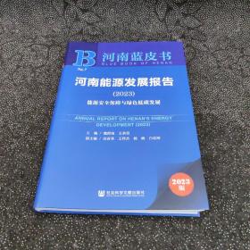 河南蓝皮书：河南能源发展报告(2023)能源安全保障与绿色低碳发展