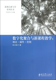 数字化聚合与新课程教学 : 理论·操作·范例