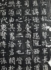 李唐宗室 淮安王李寿孙子李璲墓志拓片,文字部分53厘米,墨拓部分87厘米。         第五子岐州扶风县承李延業书丹。         李璲是淮安王李神通即李寿孙子,李孝同第三子。其解褐授恒州九门县令,迁晋州汾西县令。       夫人高氏,乃名相高士廉之孙,户部尚书驸马都尉高履行之女。